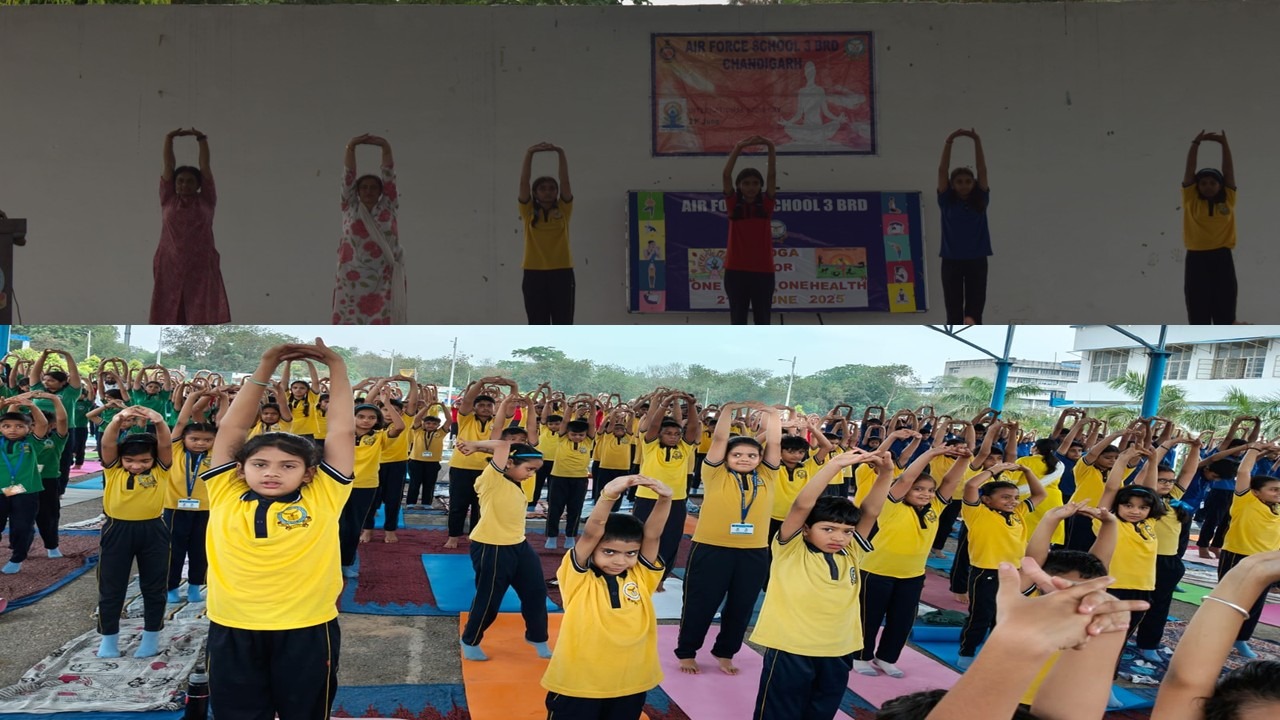 IDY1