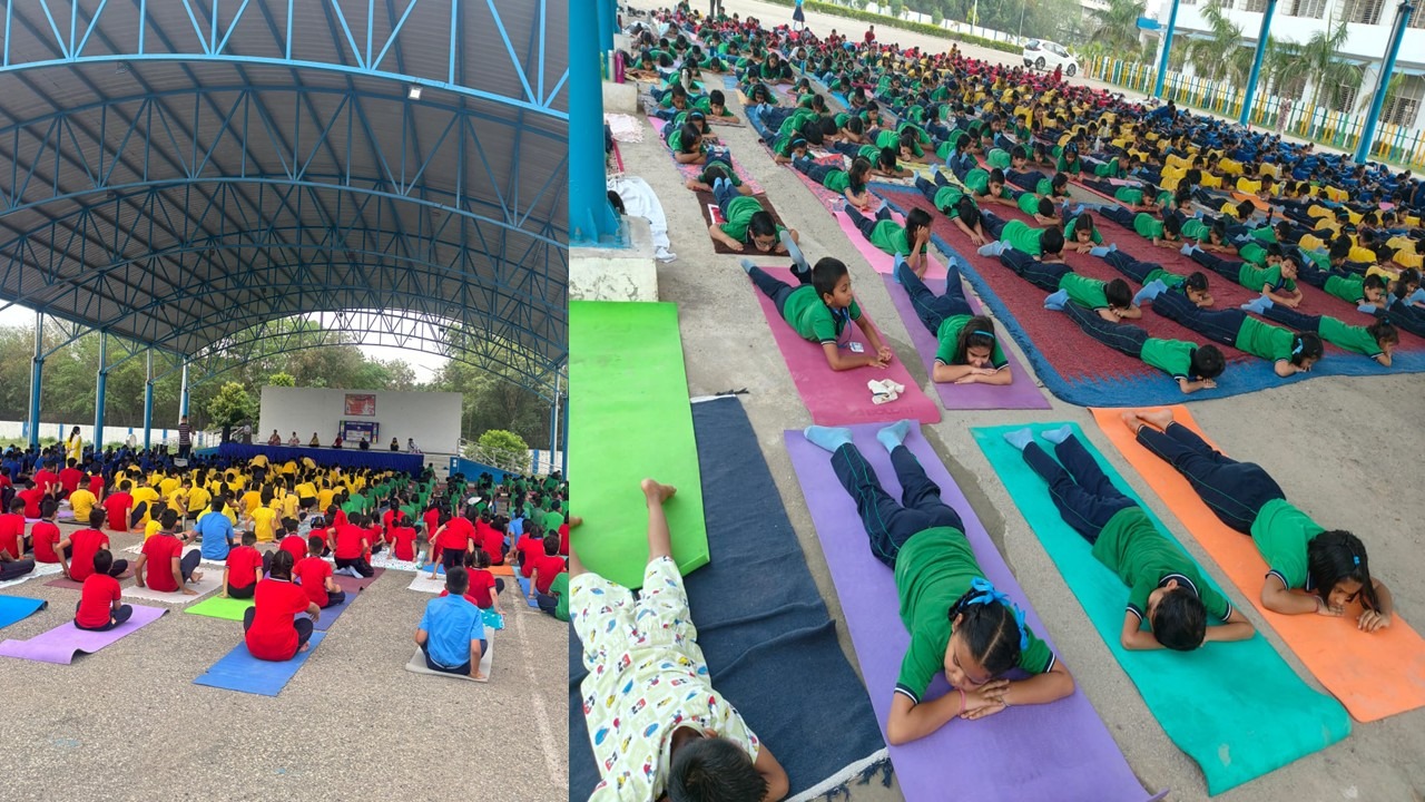 IDY1